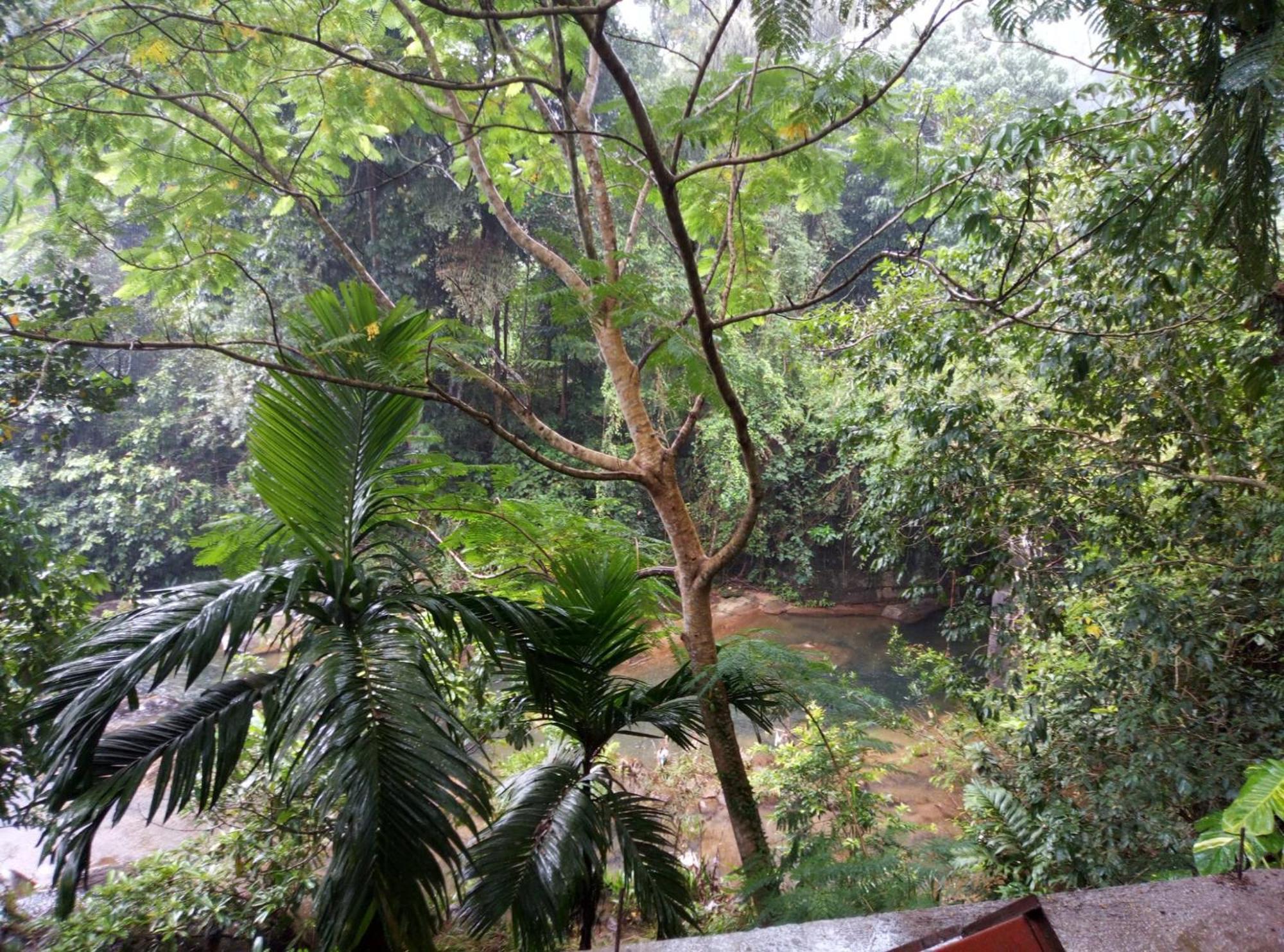 Old Bridge Riverside Hotel Kitulgala Exterior foto